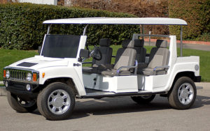 affordable golf cart rental, golf cart rent palm beach, cart rental palm beach