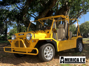 golf cart financing, palm beach golf cart financing, easy cart financing