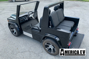 ev wagon golf cart, america ev ev wagon, golf cart sales