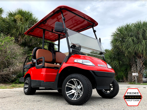 holiday in paradise palm beach, christmas golf cart rental